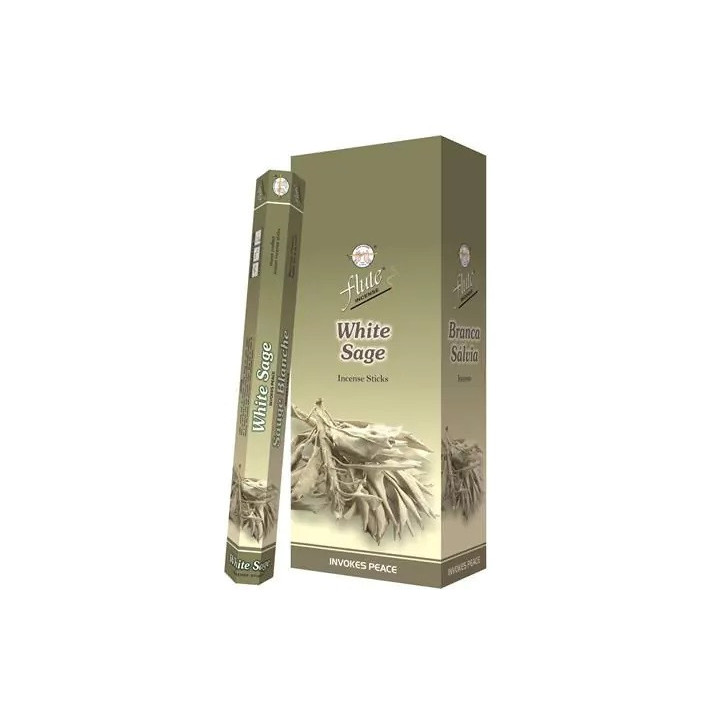 {
  "product_name": "white sage incense – 20g"
}