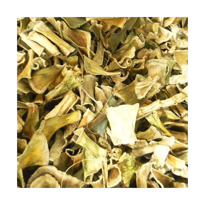 {
  "name": "Sword of S.Jorge"
}