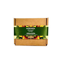 Moringa Defumação Girassol Chama Dinheiro Milagre