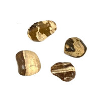 jaspe cobra – media