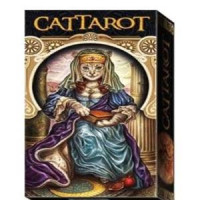 {
  "text": "tarot – cattarot"
}