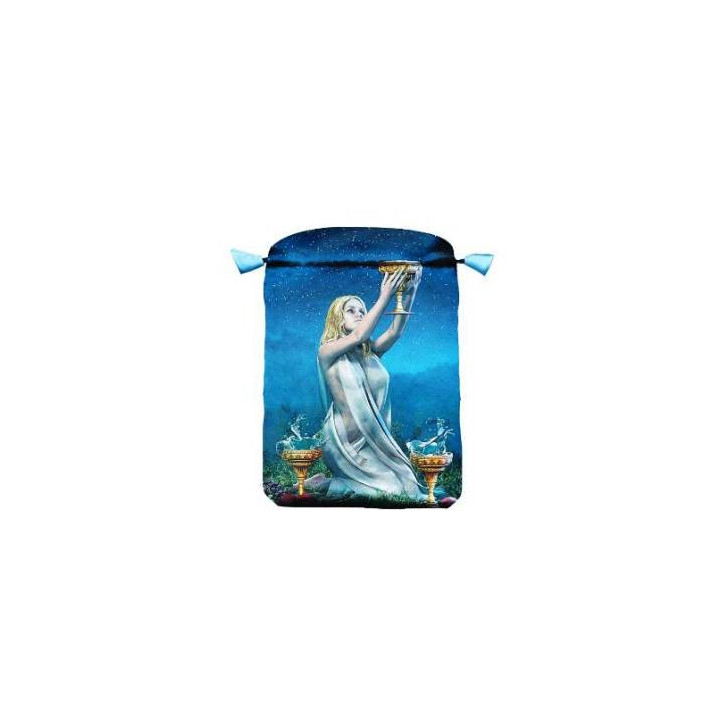 {
  "text": "tarot bag – viceversa"
}